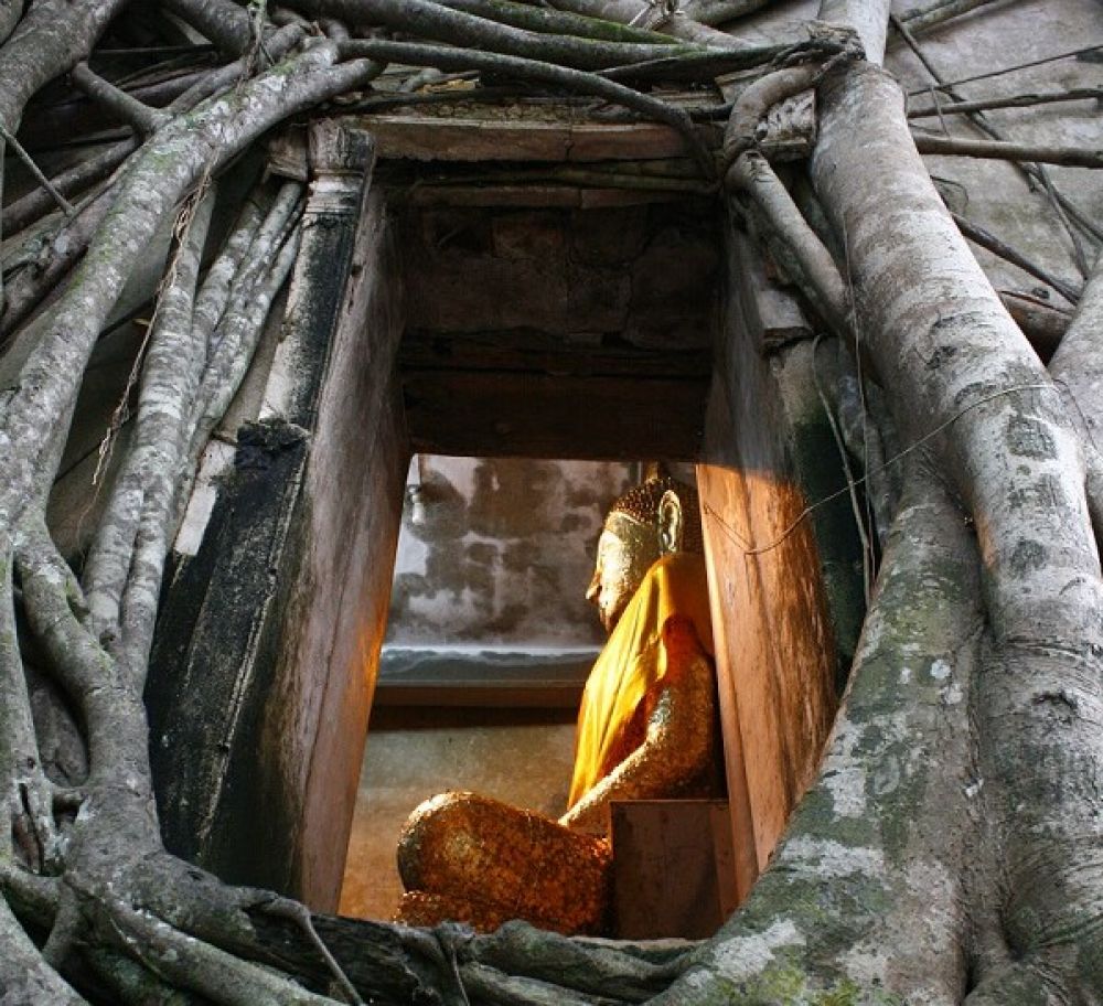 Cycle Thailand on the Thailand Customised Tour cycling tour